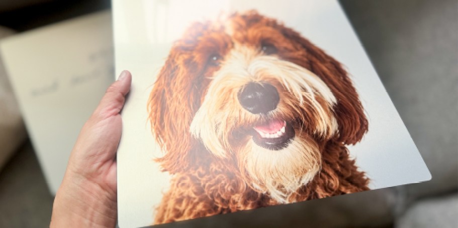 This $18 Walgreens Photo Gift Looks WAY More Expensive Than It Is!