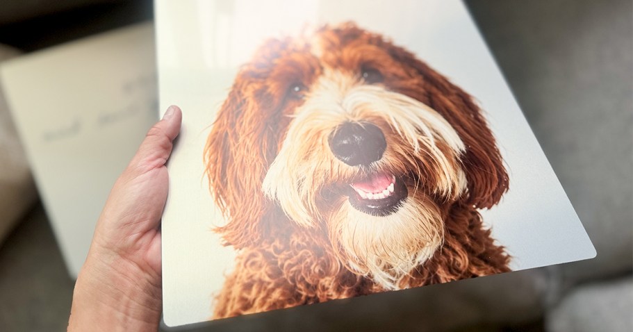This $18 Walgreens Photo Gift Looks WAY More Expensive Than It Is!