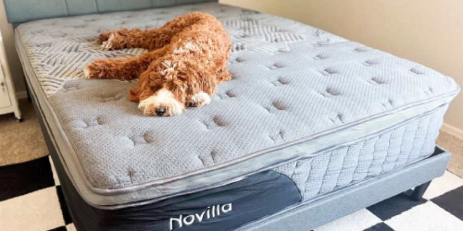 50% Off Novilla AiryFlow Cooling Hybrid Mattresses + Free Shipping