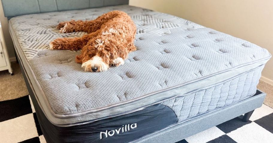 50% Off Novilla AiryFlow Cooling Hybrid Mattresses + Free Shipping