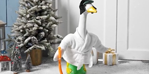 Grab This Hilarious Cousin Eddie Porch Goose Outfit on Amazon!