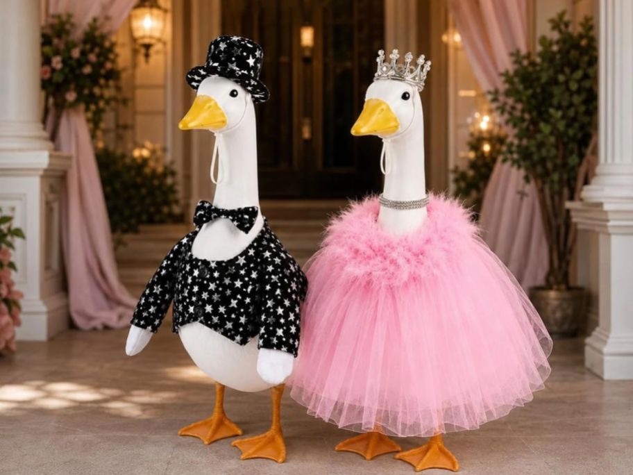 Porch Goose Princess Gown & Tuxedo Outfit set on geese at wedding