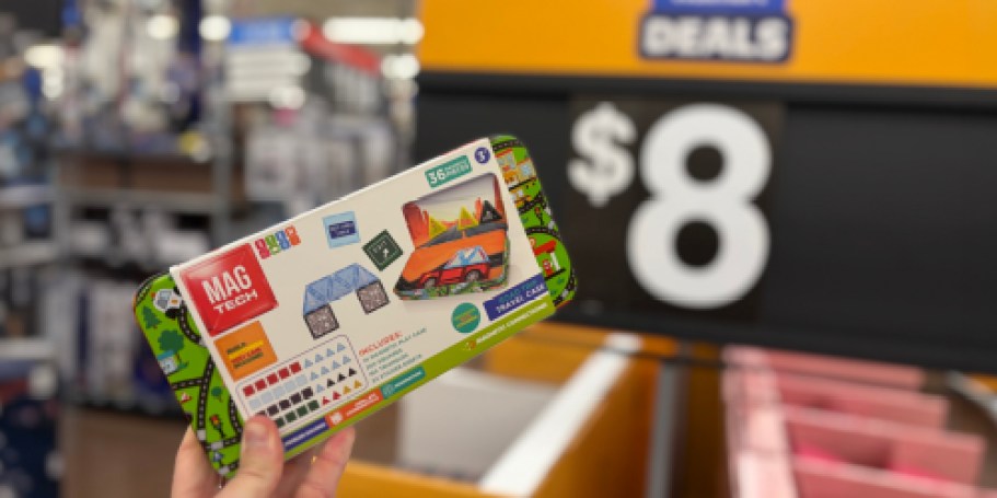 Magnetic Travel Tins Just $8 at Walmart | Fun Stocking Stuffers