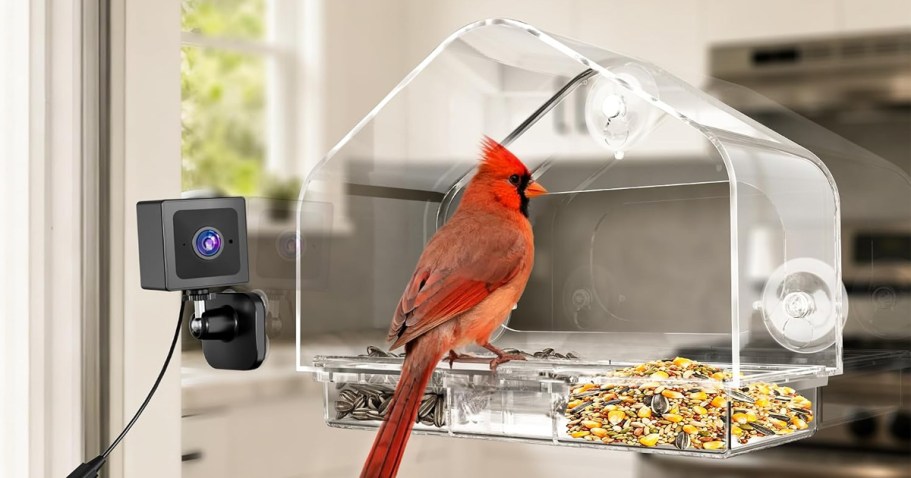 Smart Camera Window Bird Feeder Just $12.99 on Amazon (Reg. $30)