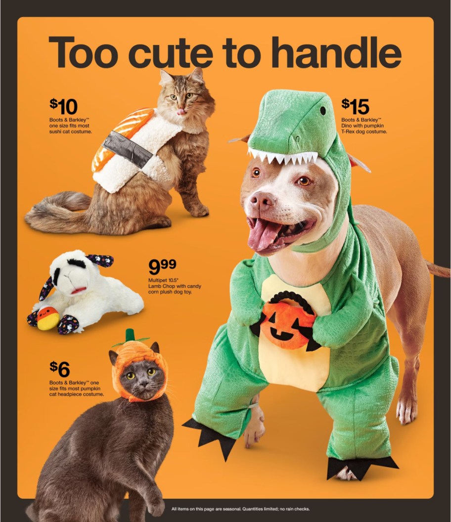 page from Target ad