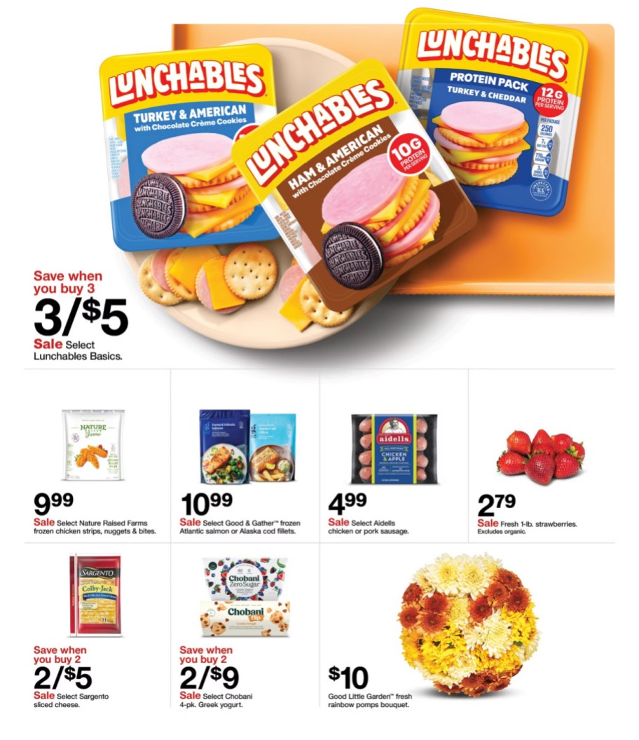 page from Target ad