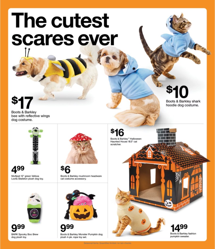 page from Target ad