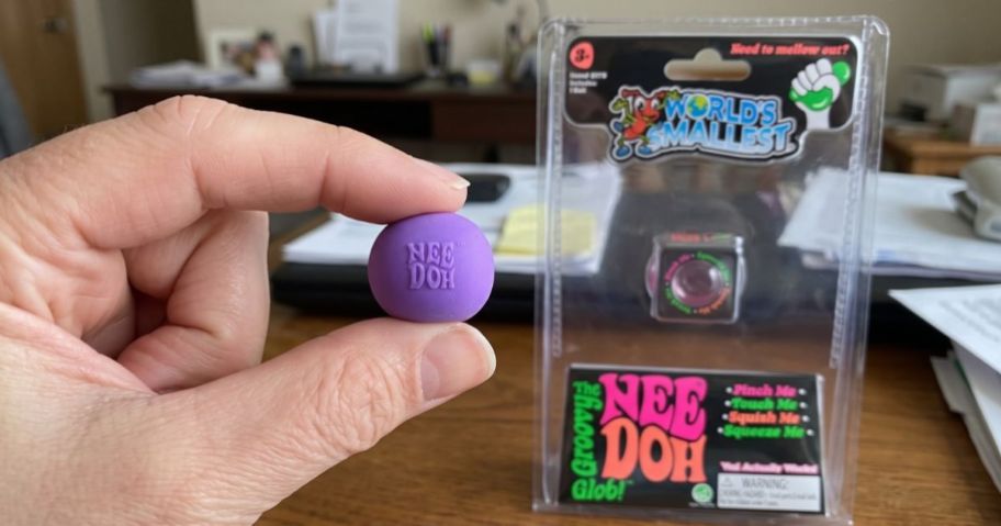 Hand holding the World's Smallest Needoh Toy