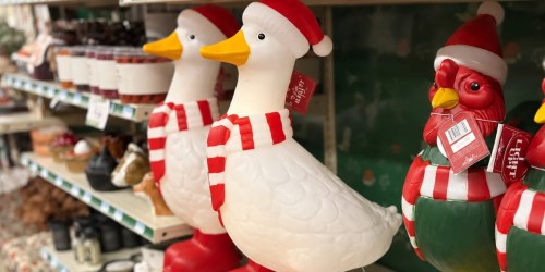 We Found SO Many Fun Christmas Decorations at Tractor Supply!