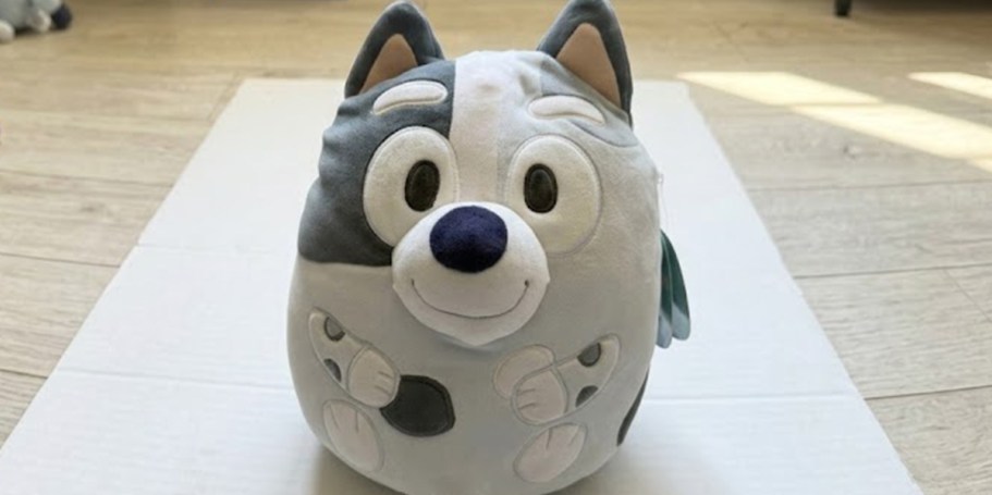 Score $10 Off $30 Woot Plush Toys (Bluey, Disney, Care Bears & More!)