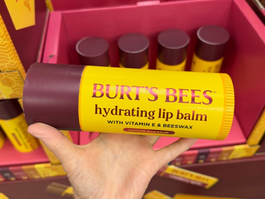 Sam’s Club Has a HUGE Burt’s Bees Lip Balm Gift Set for Only $16.48 (Split up for Stocking Stuffers!)