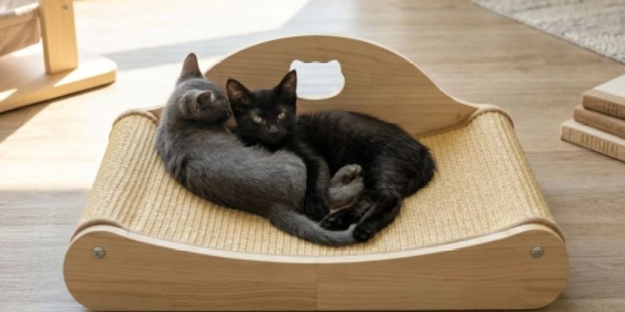 Cat Scratcher Lounge Bed Just $15.99 on Amazon (Reg. $32)