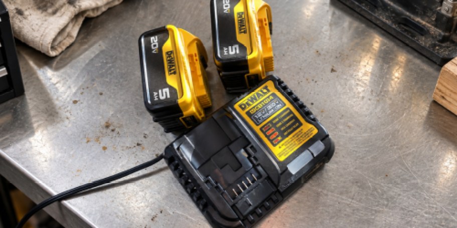 Buy DEWALT Batteries & Get Up to 3 FREE Tools on Lowes.com (Over $700 Value!)