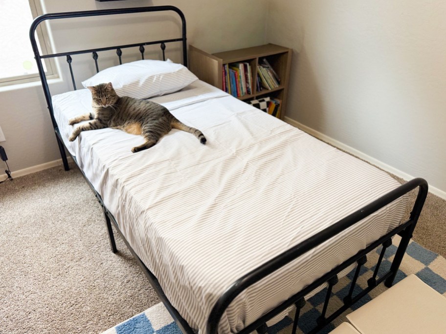 striped sheets on bed with cat