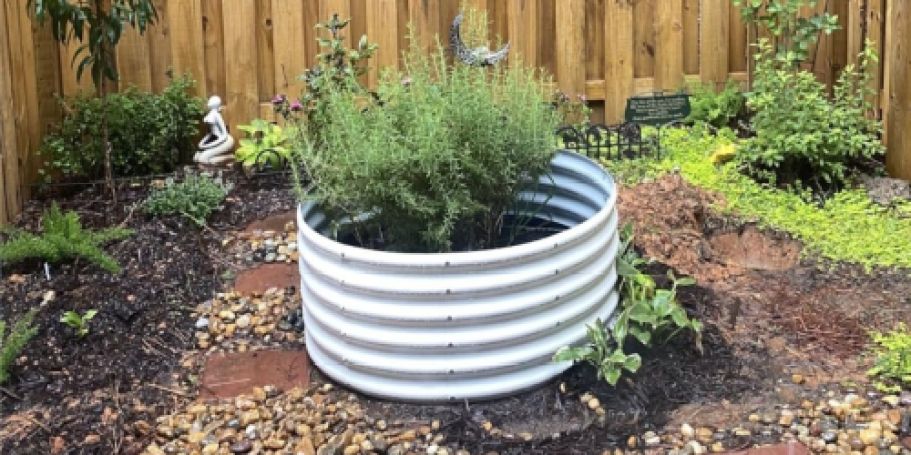 Galvanized Steel Planters from $16.79 on Amazon