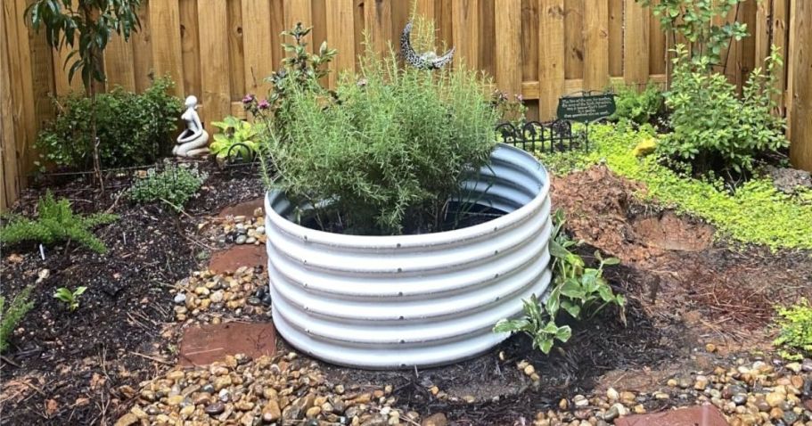 Galvanized Steel Planters from $16.79 on Amazon
