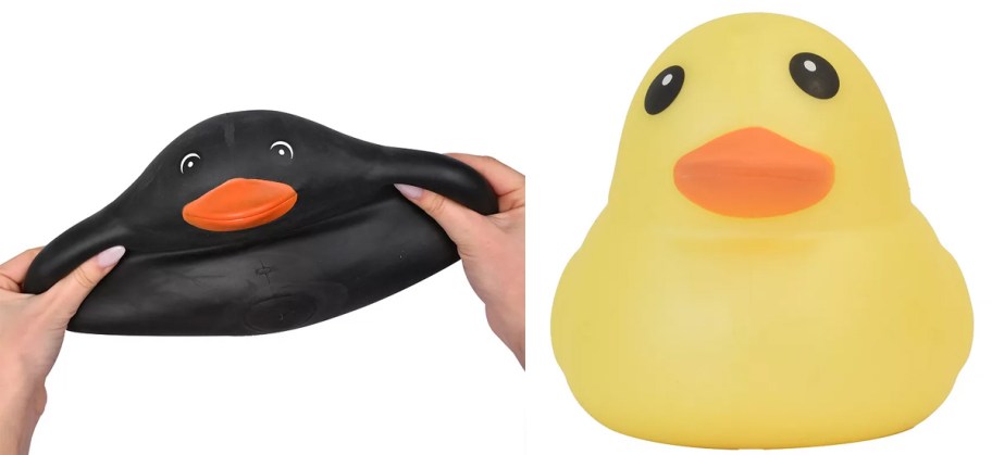 hands holding black duck and yellow duck 