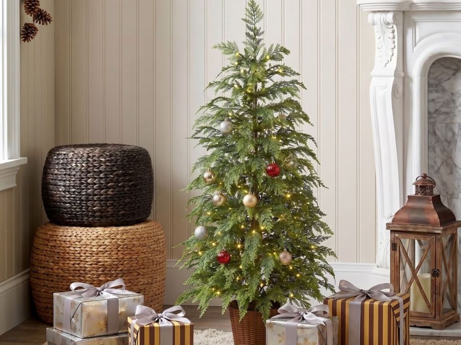 Viral lit christmas tree thats potted