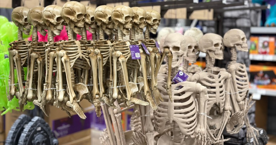 Multiple Halloween plastic skeleton decorations hanging in rows on a store display shelf.