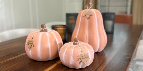 These New Sam’s Club Fall Decor Finds Are Too Good to Miss