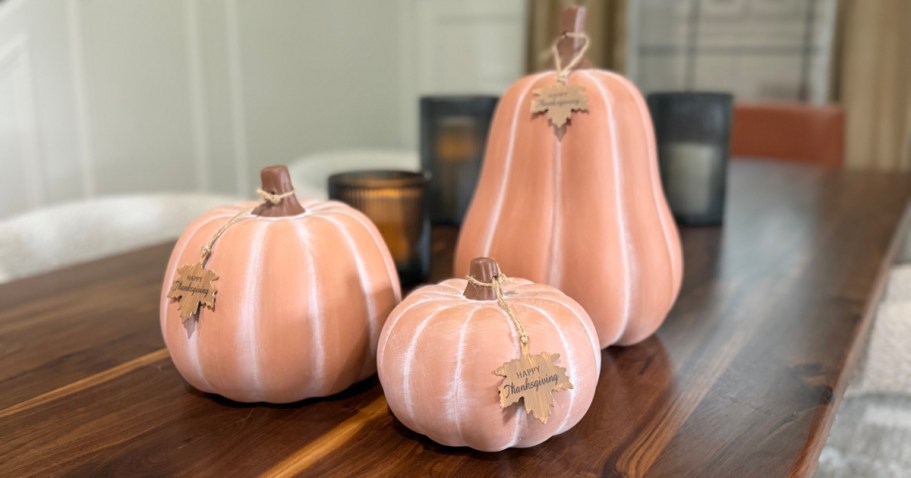 Up to 65% Off Sam’s Club Harvest Decor | Pumpkins, Doormats, & More