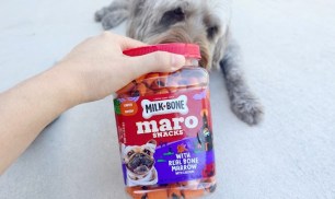 Milk-Bone Halloween Dog Treats 25oz Only $4.49 on Amazon