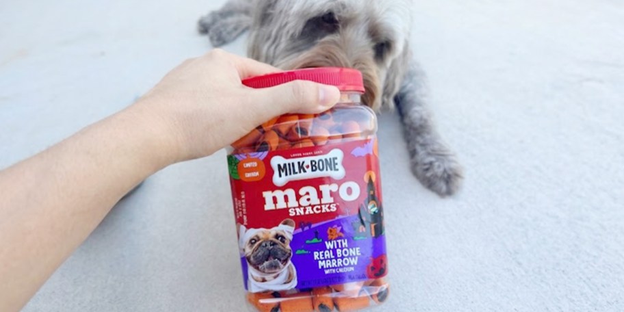 hand holding milk bone dog treats in front of dog