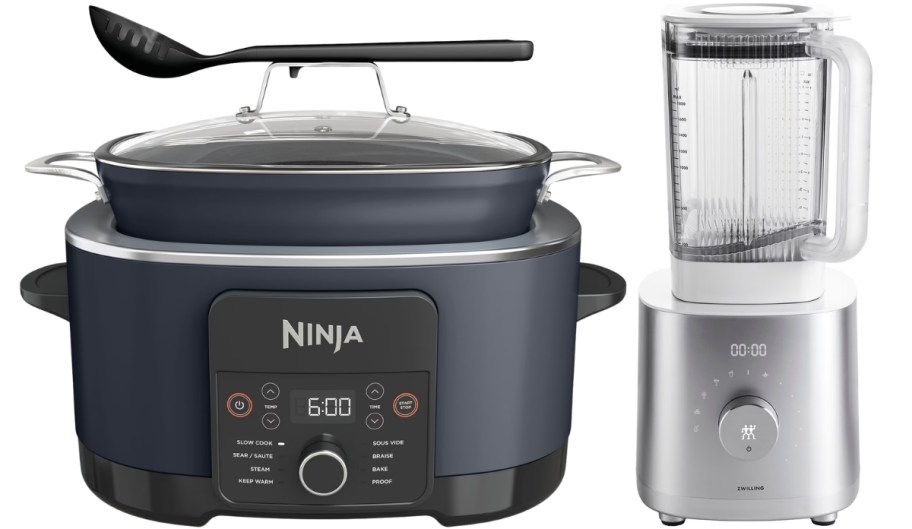 a multicooker and a blender