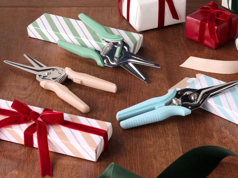 three set shears with box on top of the table
