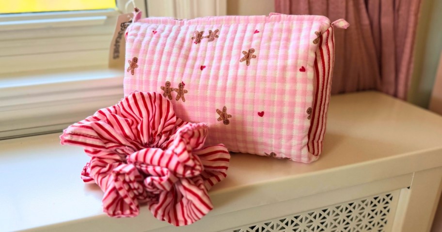 a pink gingham Gingerbread zipper pouch and matching hair scrunchie