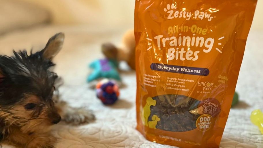 zesty paws training bites bag on the floor next to a. dog